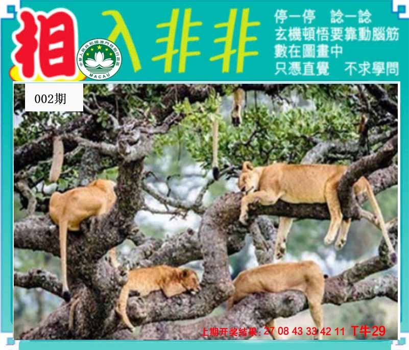 002期相入非非[图]