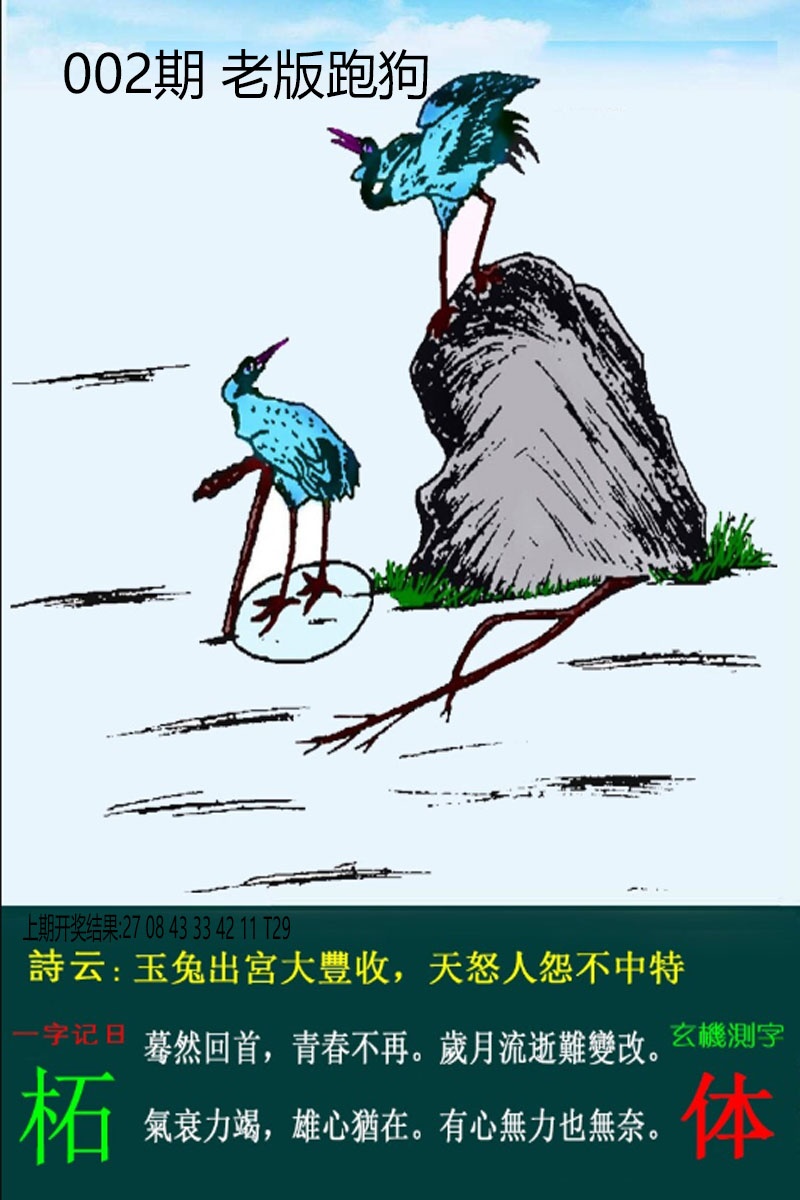 002期老板跑狗[图]