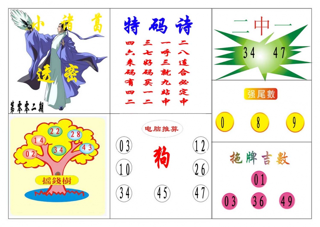 002期小诸葛[图]