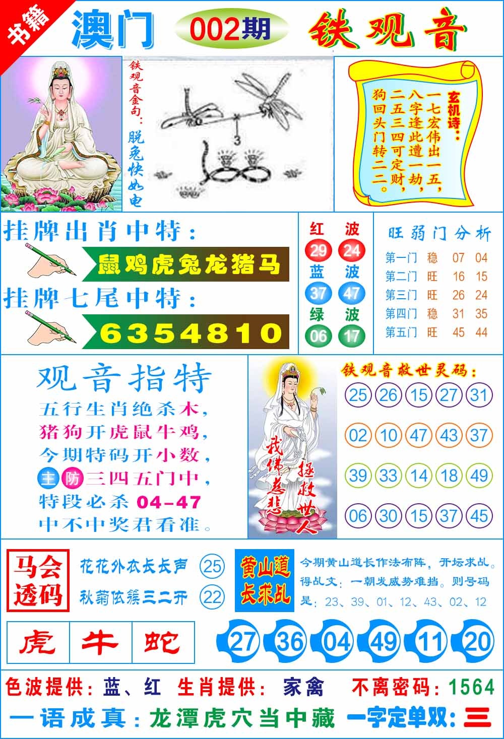 002期澳门铁观音[图]