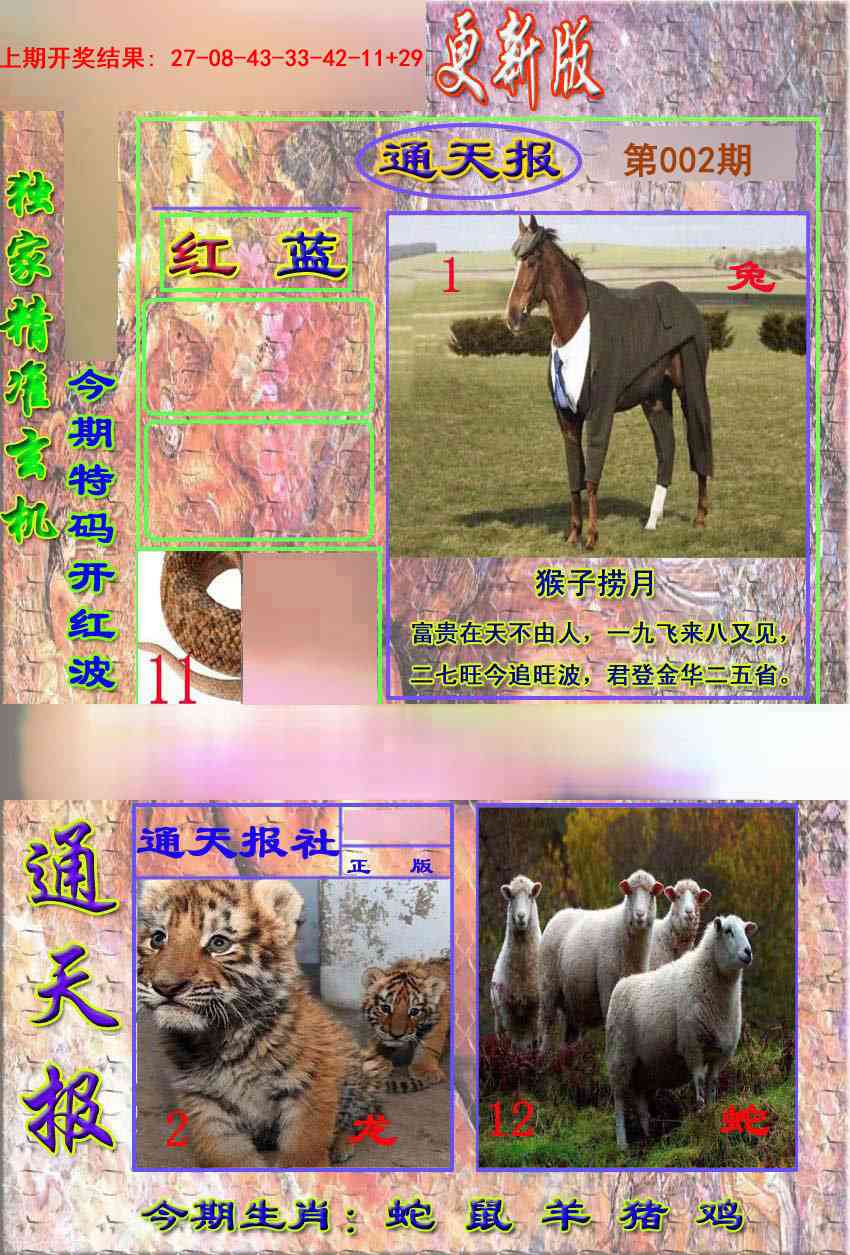 002期新通报[图]