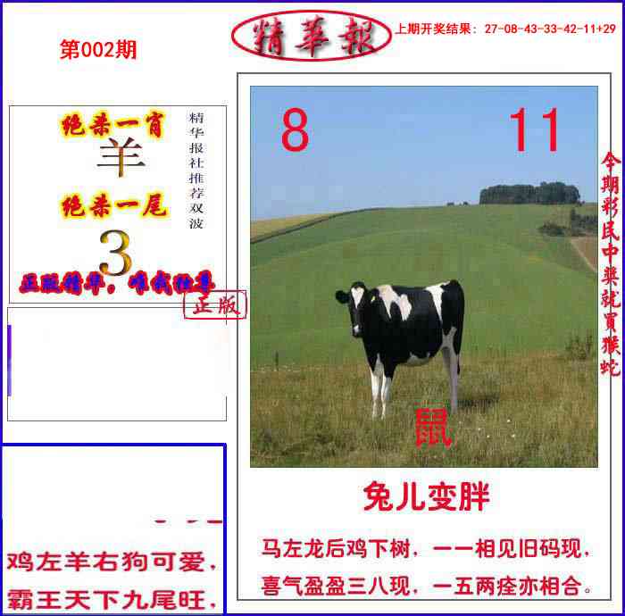 002期新精华报报[图]
