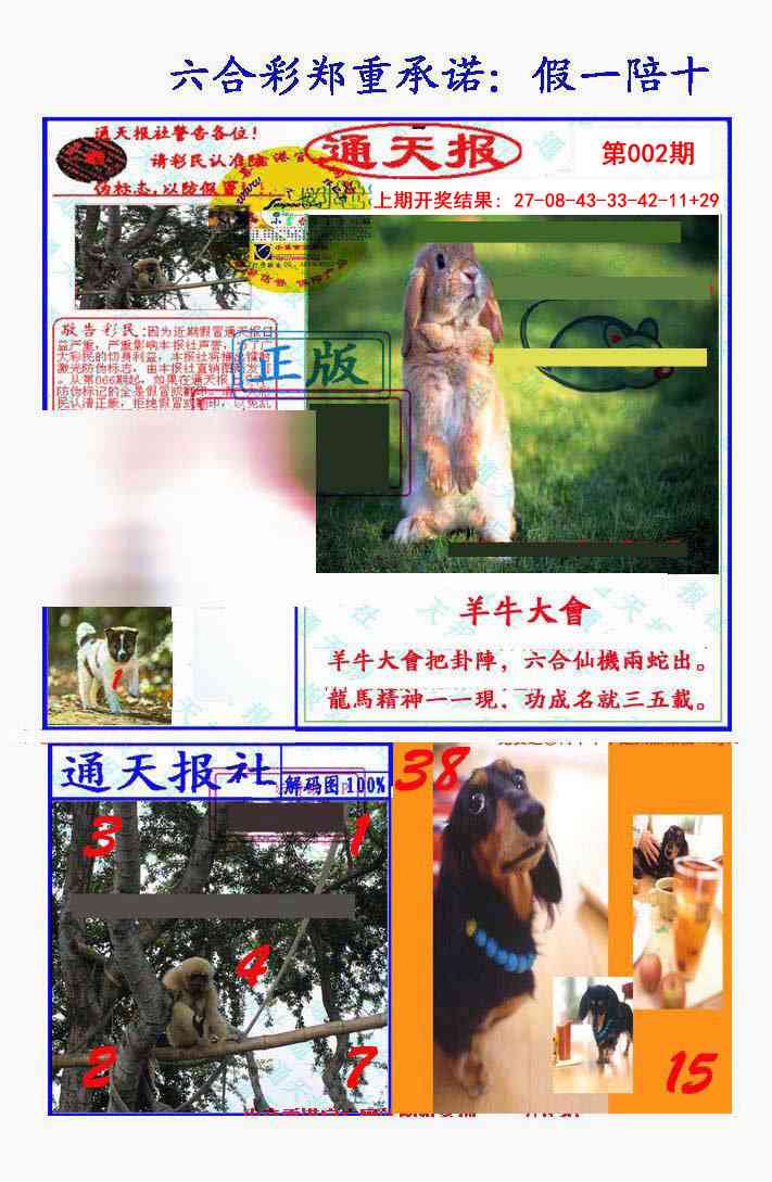 002期假一陪十通天报[图]