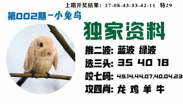 002期小兔鸟[图]