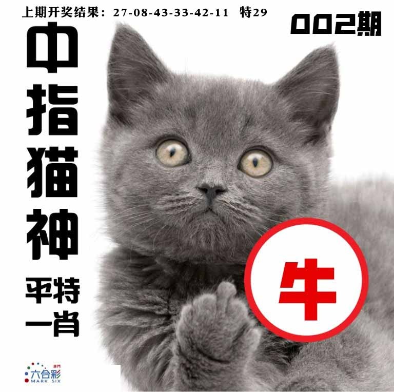 002期中指猫神[图]